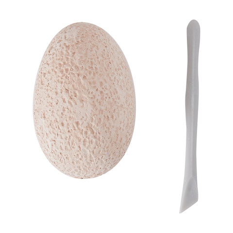 kmart egg toy